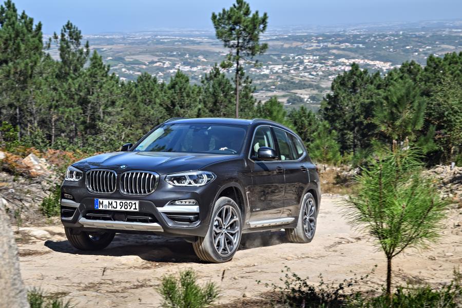  BMW X3 xDrive30d xLine (G01) 2017 года  (WW) (фото 111 из 178)